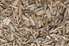biomass boilers Edymore